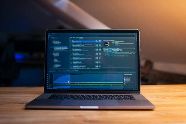 Panettone fiasconaro oro verde: die perfekte italienische delikatesse